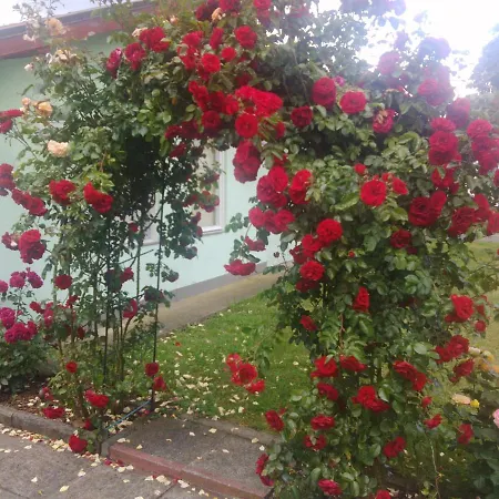 Ranczo Roz Wi-ta Vakantieboerderij *
