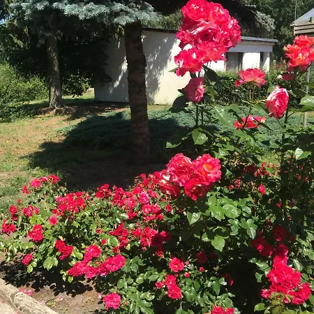 Ranczo Roz Wi-ta Vakantieboerderij Przytor