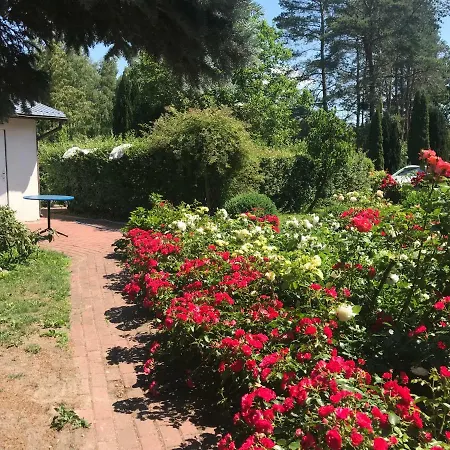 Ranczo Roz Wi-ta Farm stay